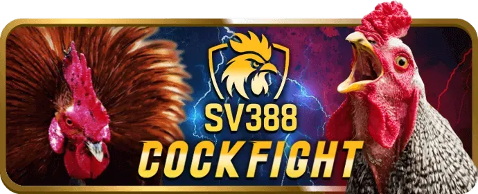 Đội ngũ hỗ trợ khách hàng chuyên nghiệp của shbet999 đang làm việc
