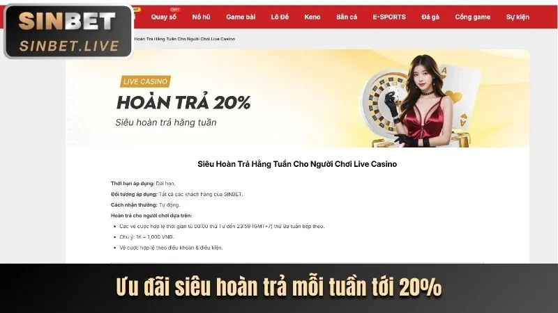 Cam kết dịch vụ hỗ trợ shbet999